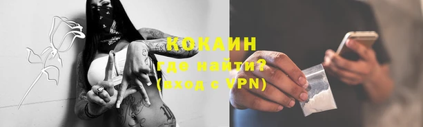 PSILOCYBIN Абдулино
