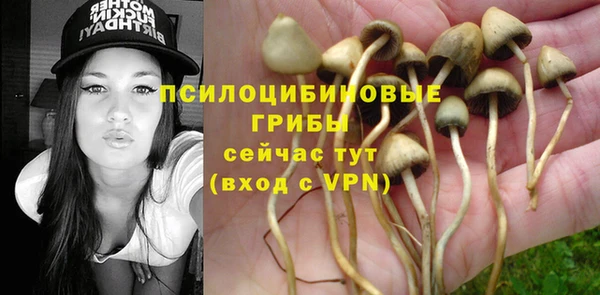 круглые Абаза