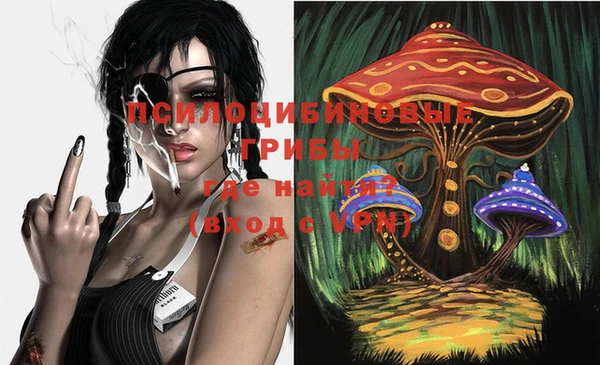 круглые Абаза