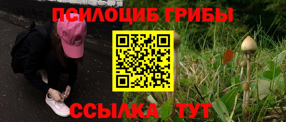 Псилоцибиновые грибы Psilocybine cubensis  Вход с VPN  Шали  продажа наркотиков  Галлюциногенные грибы Psilocybine cubensis 